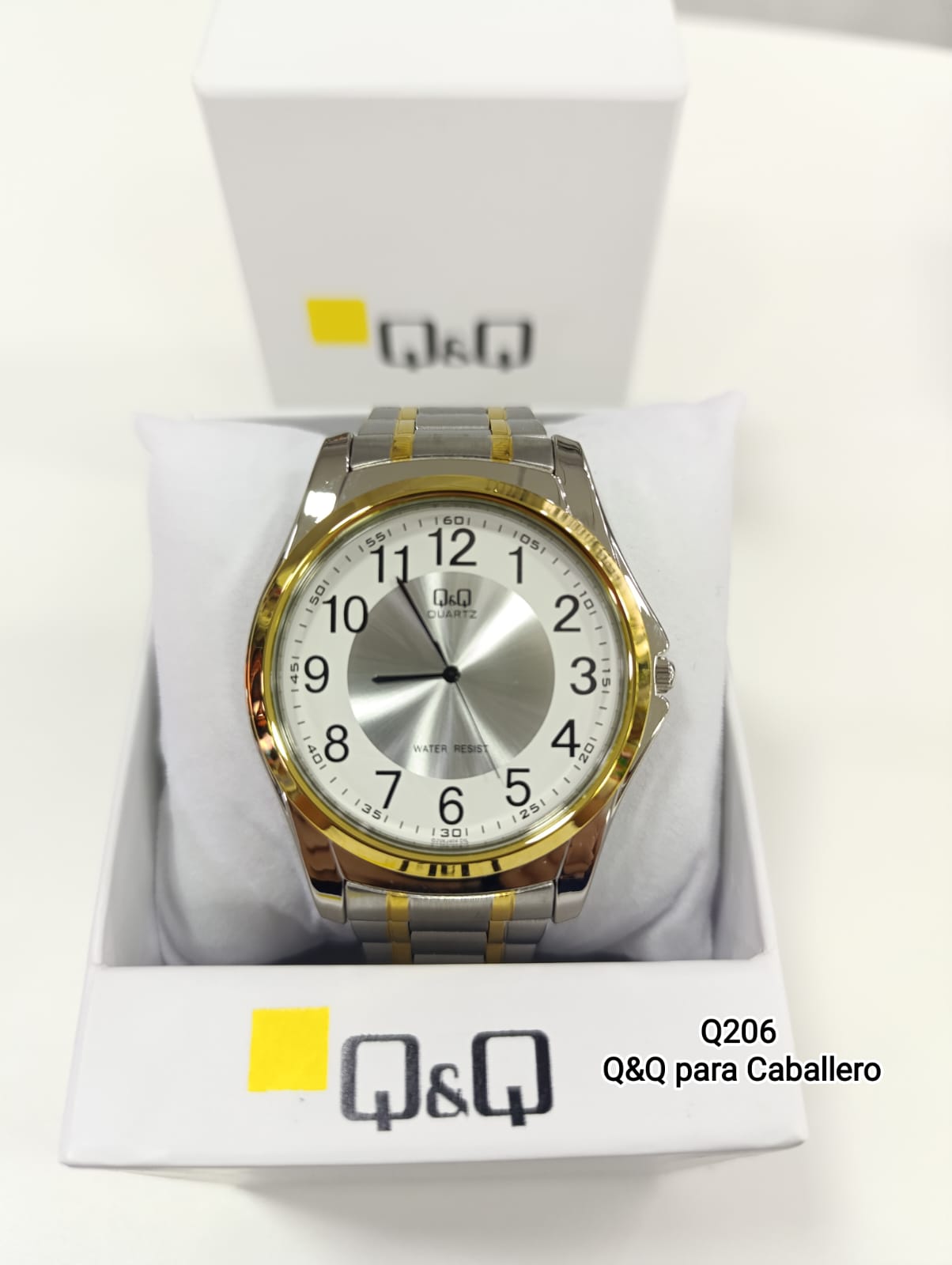 Reloj Q&Q para Caballero